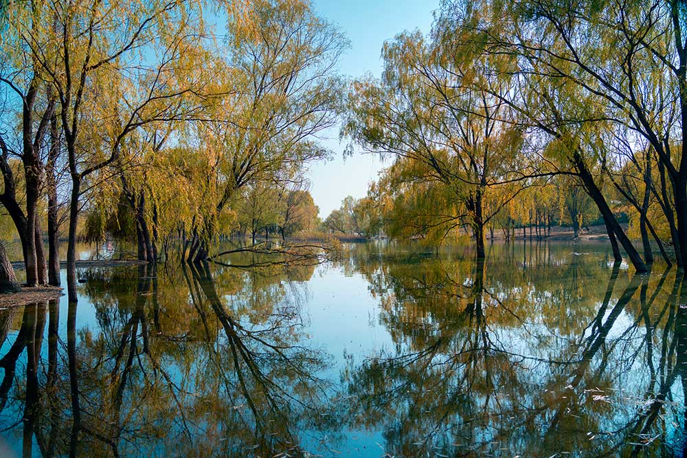 昌平濱河森林公園
